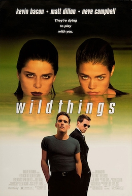 Wild Things 1 1998  Dub in Hindi full movie download